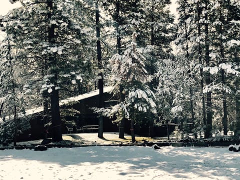 Winter is great, too. Ski leases available!