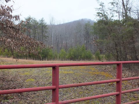 Located in Brush Creek Forest at the foot of Tener Mountain