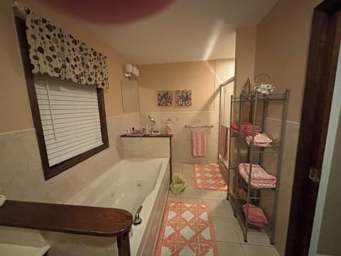 Combined shower/tub, jetted tub, hair dryer, towels