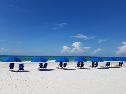 On the beach, sun loungers