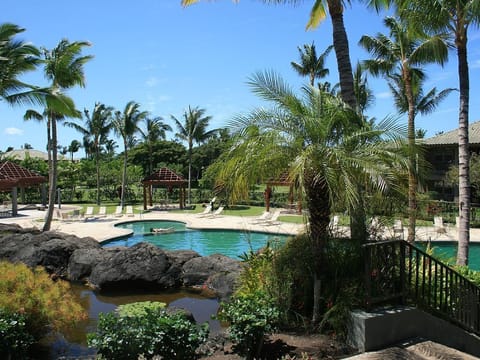 A lap pool, sun loungers