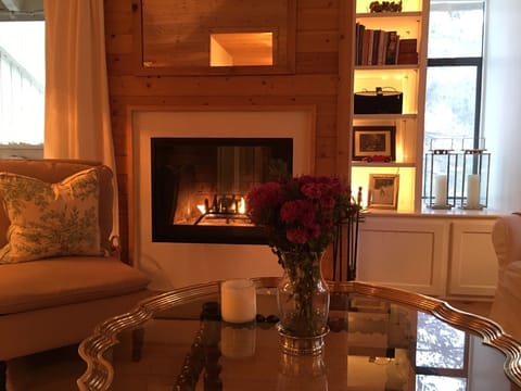 Living room | Smart TV, fireplace, DVD player, books