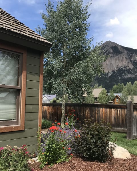 Amazing views of Mt Crested Butte