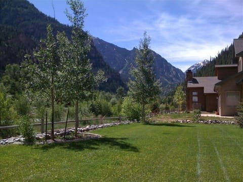 Efficiency - Ground level on River Walk Trail