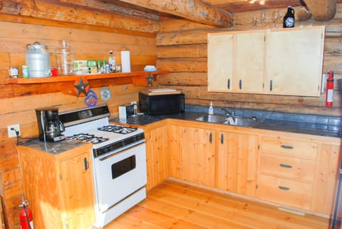Main Cabin, kitchen