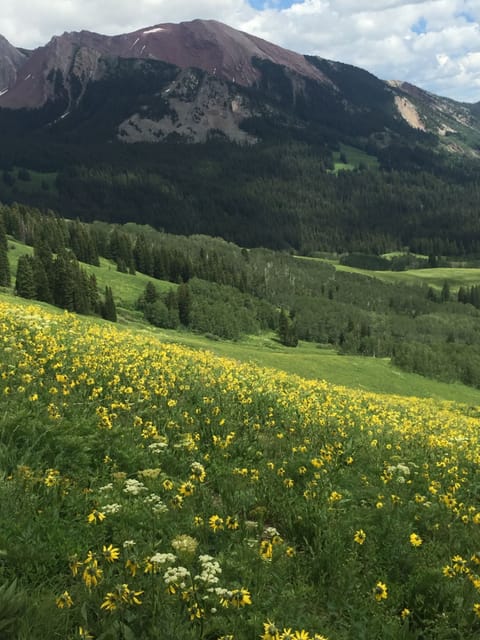 Hiking during wildflower season!