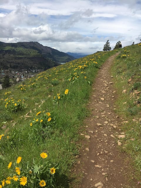 Gorgeous hike to the Mosier Creek waterfall and Plateau right out our door 
