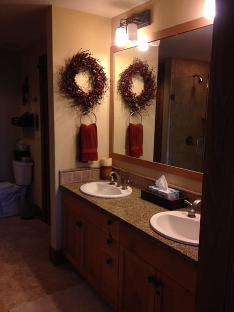 Separate tub and shower, hair dryer, towels