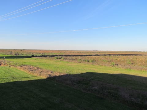 Looking over the State Park with Galveston Bay in the distance