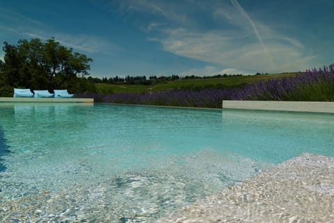 edgeless saltwater pool with view