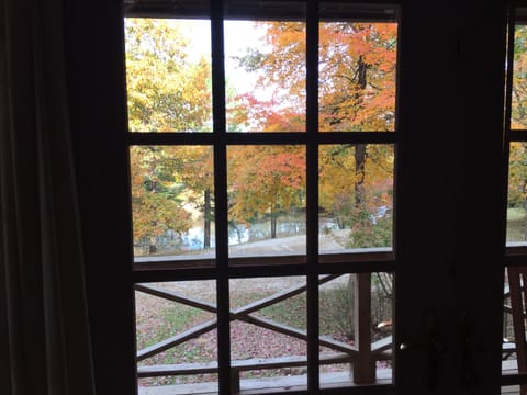 View of the pond from the Master Bedroom