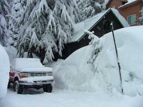 Late winter front of cabin.