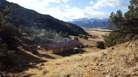 View of the house from the backyard