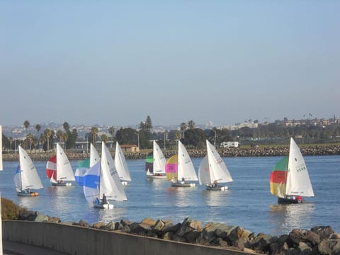 Sail Boat Regatta going by in the jetty, as viewed from the condo 