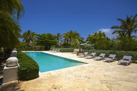 Outdoor pool, sun loungers