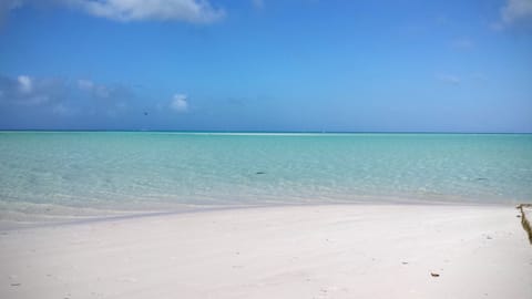 Beach nearby, beach towels