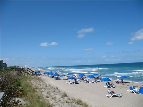 On the beach, sun loungers, beach towels