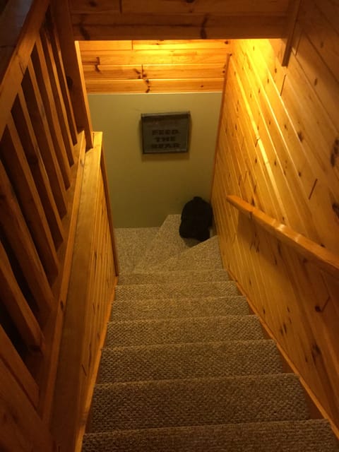 Stairs To Finished Basement. Please don’t feed the bear. 