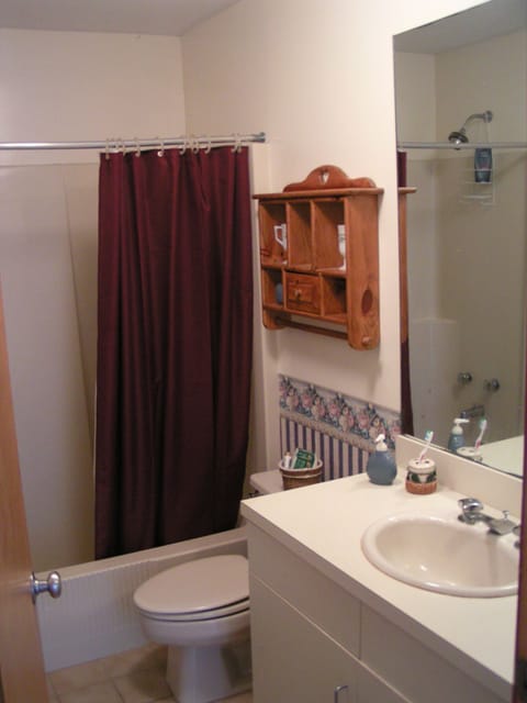 Combined shower/tub, hair dryer, towels, soap