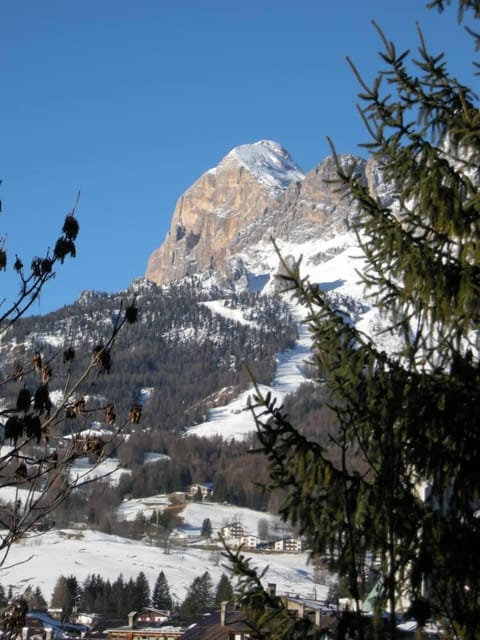 Landscape from the balcony