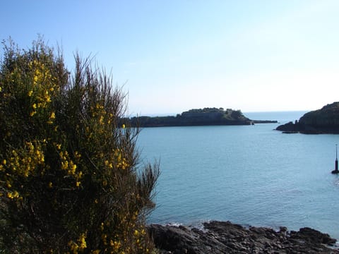 Beach nearby, sun loungers