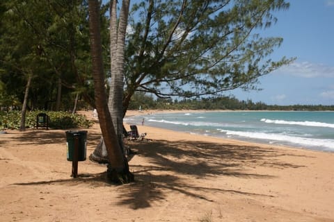 Beach nearby, sun loungers, beach towels