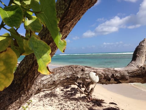 Beach nearby, sun loungers, beach towels