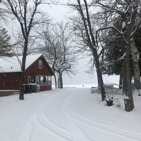 Snowy day at the cabin!
