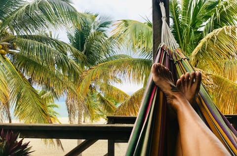 One of three hammocks to read a book and listen to the ocean and birds.
