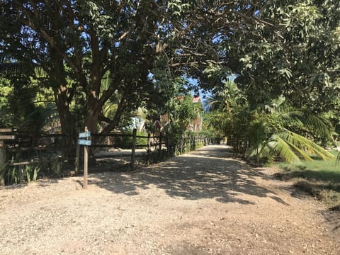 Our private road with parking.