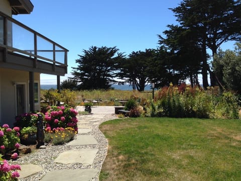 Side yard