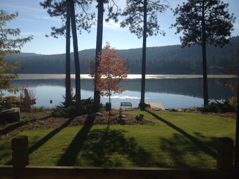 Serenity on the Water