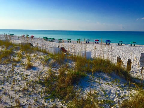 On the beach, sun loungers