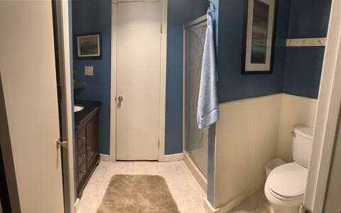 Bathroom with shower - lower level
