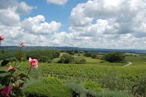 Captivating view from the covered terrace.