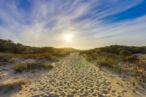 Beach nearby, sun loungers, beach towels