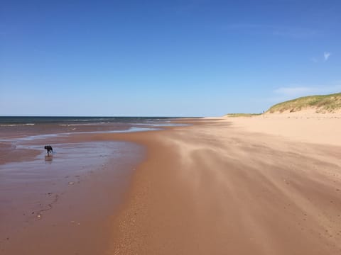 Beach nearby, sun loungers, beach towels