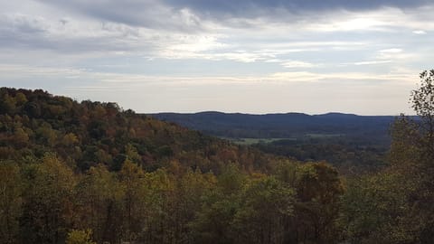 A view from Behm Mountain