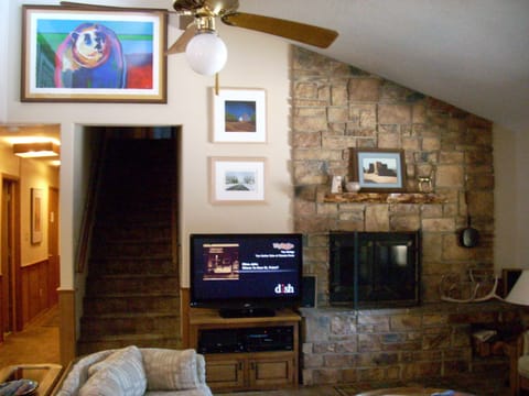 Smart TV, fireplace, DVD player, books