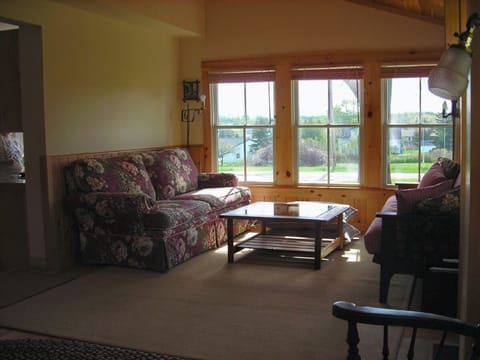 TV, fireplace, books