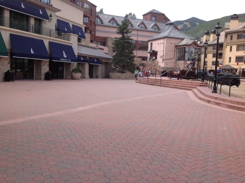 Village plaza and shops