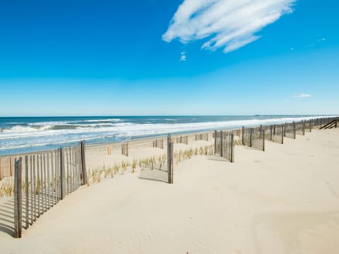 On the beach