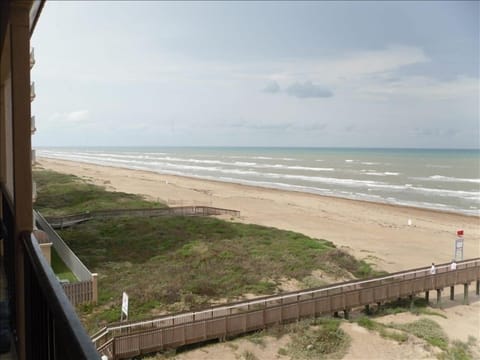 On the beach