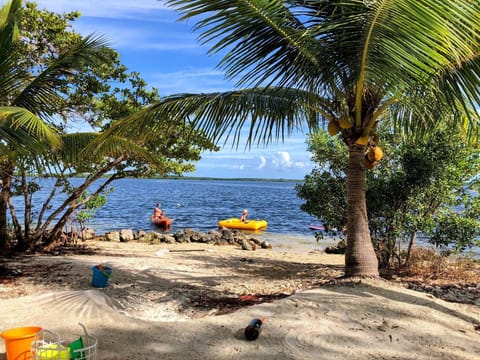 On the beach, sun loungers, beach towels