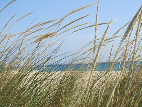 Beach nearby, sun loungers