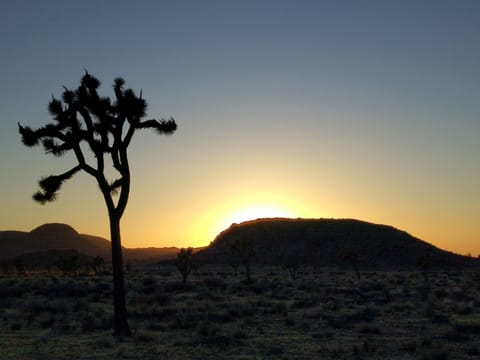 Wonderful sunsets in park.