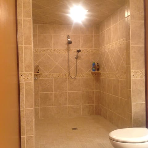 Combined shower/tub, soap