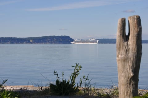 Watch the cruise boats heading to Alaska.