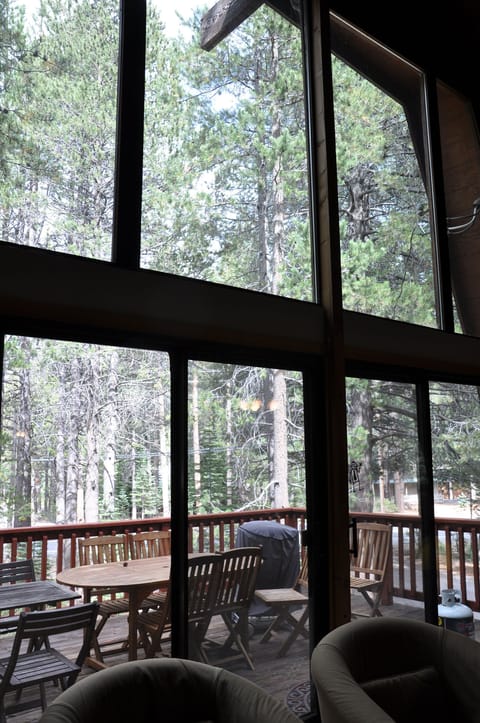View of the trees from the living room