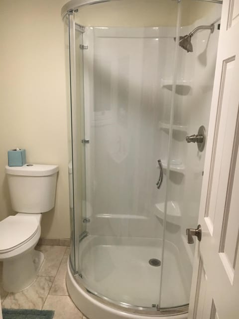 Combined shower/tub, hair dryer, towels, soap